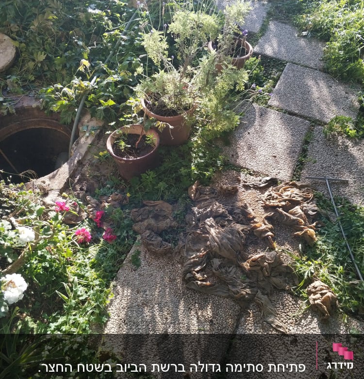 סתימה גדולה ברשת הביוב